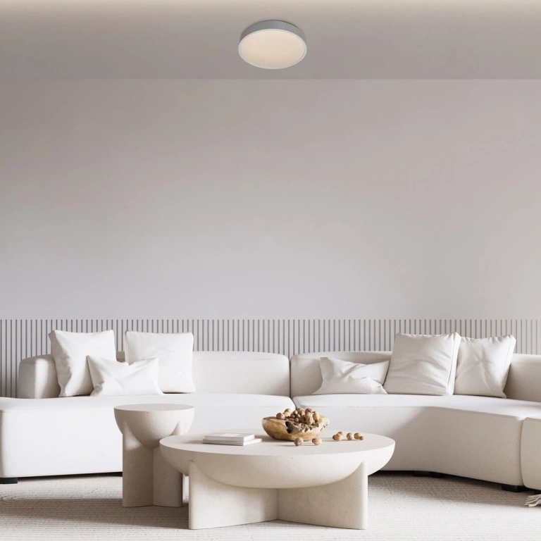 75010 Larcia, плафон LED 18W, D 28cm, сребро