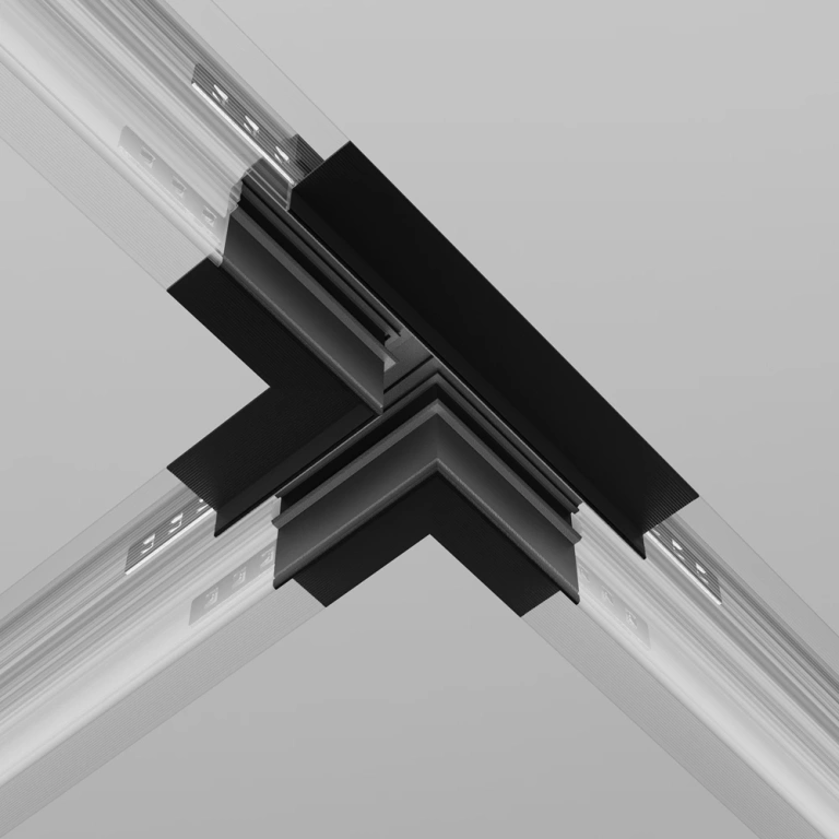 Acc exility
