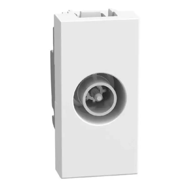 SOCKET TV PASS ,light now, bticino, YW4202P14