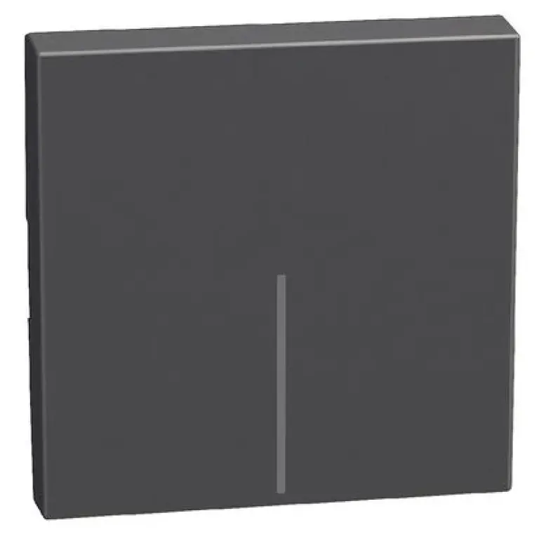 Лицев панел 2мод. графит, light now, bticino, YD4915M2