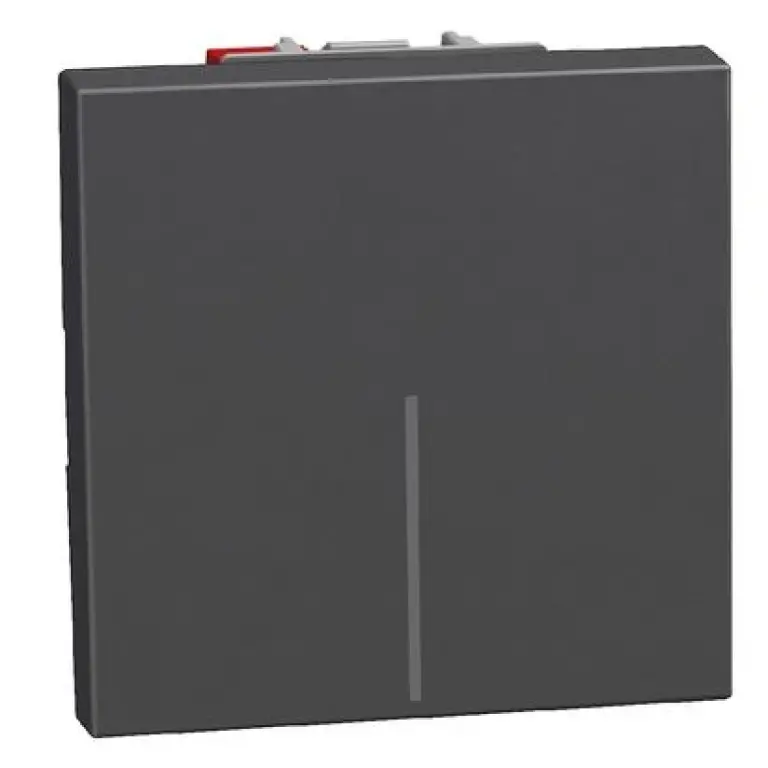 Еднополюсен ключ 2мод. графит, 10AX , light now, bticino, YD4001M2A