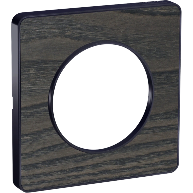 единична рамка, дърво, schneider, odace touch, s540802p3